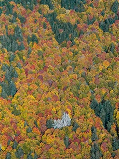 La Forêt Bavarian Forest 002 de Bernhard Lang - Photographie aérienne