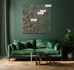 Bavarian Forest 013 by Bernhard Lang - Aerial abstract photography, autumn