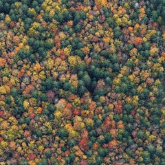 La forêt bavaroise 013 de Bernhard Lang - photographie abstraite aérienne, automne