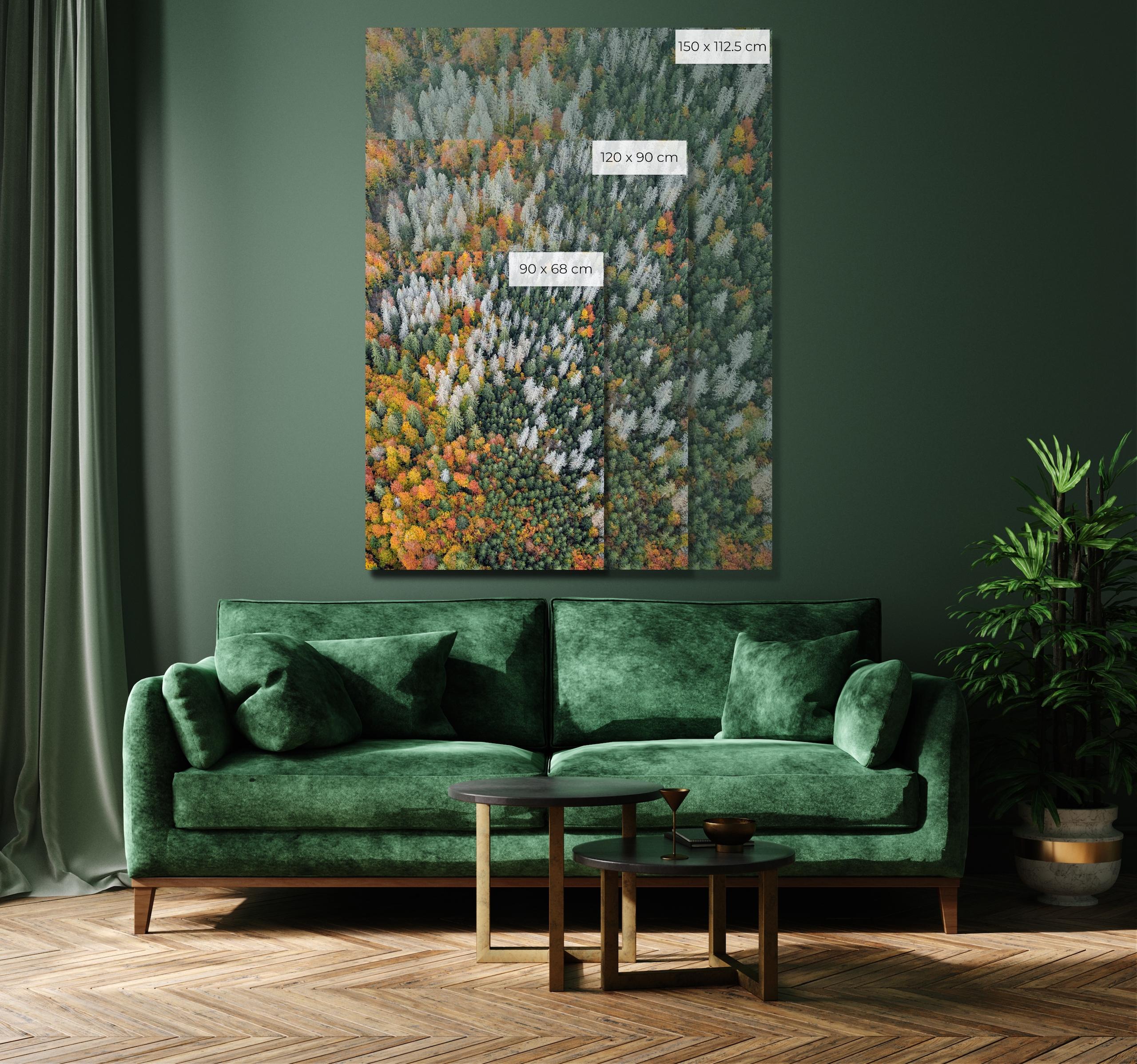 Bavarian Forest 020 von Bernhard Lang – Luftaufnahme abstrakter Luftaufnahme, Herbst im Angebot 1