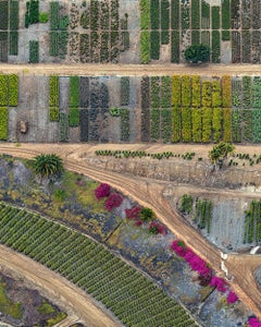 Kalifornische Pflanzgefäße 016 von Bernhard Lang – abstrakte Luftaufnahme, Blumen