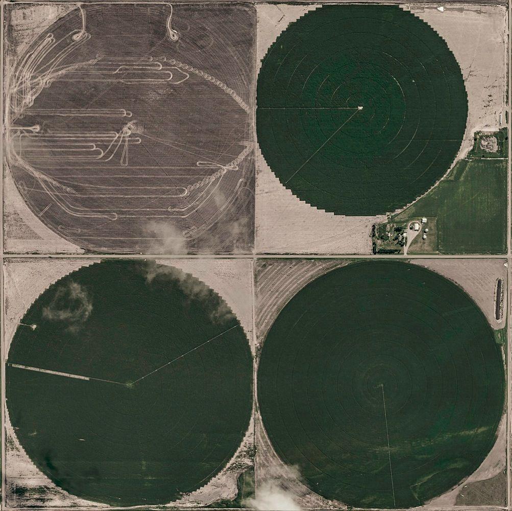 Circle Irrigation 02 de Bernhard Lang - Fotografía aérea abstracta, Kansas