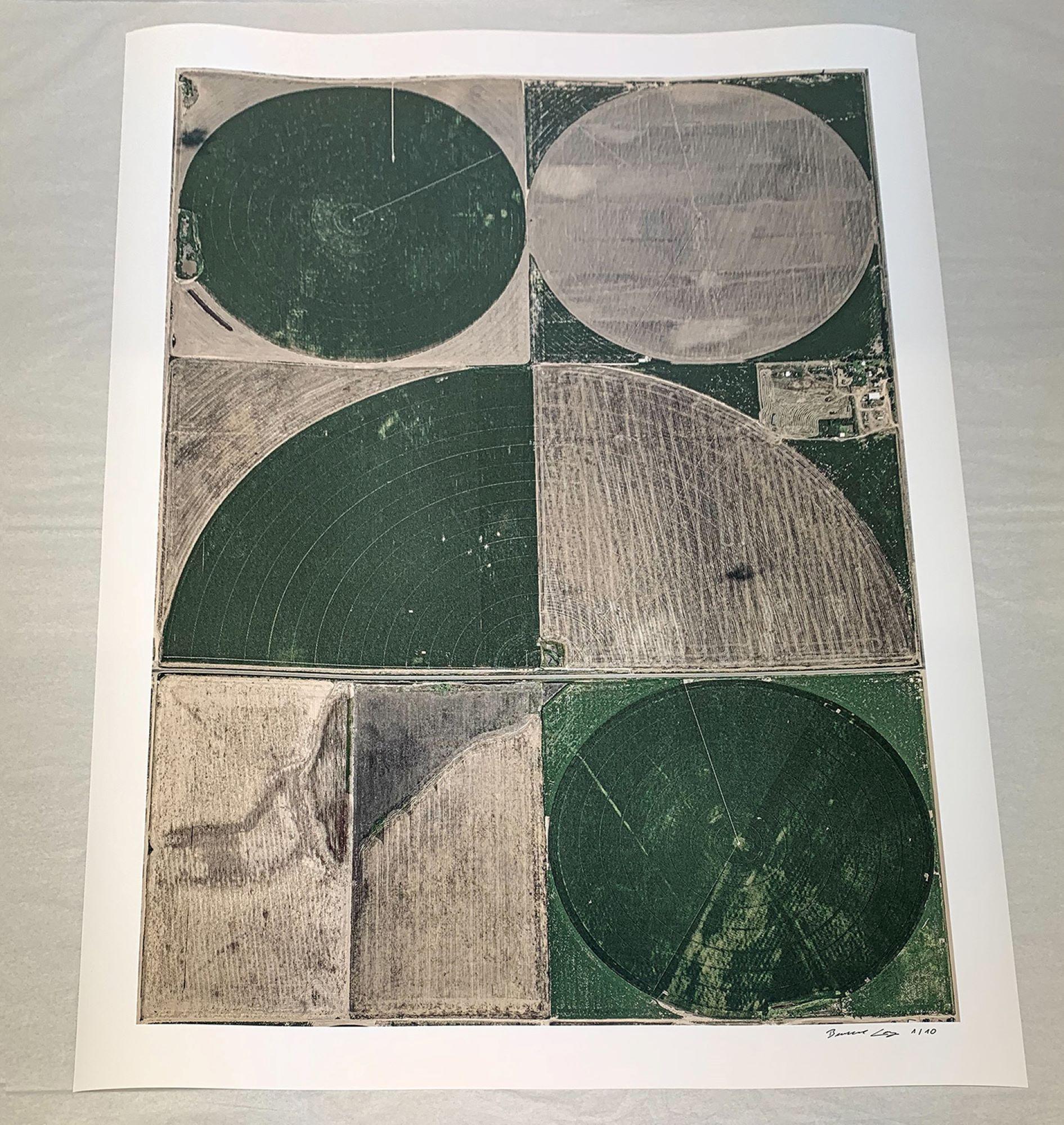 Kreis Irrigation 10 von Bernhard Lang – abstrakte Luftaufnahmen, Kansas im Angebot 5