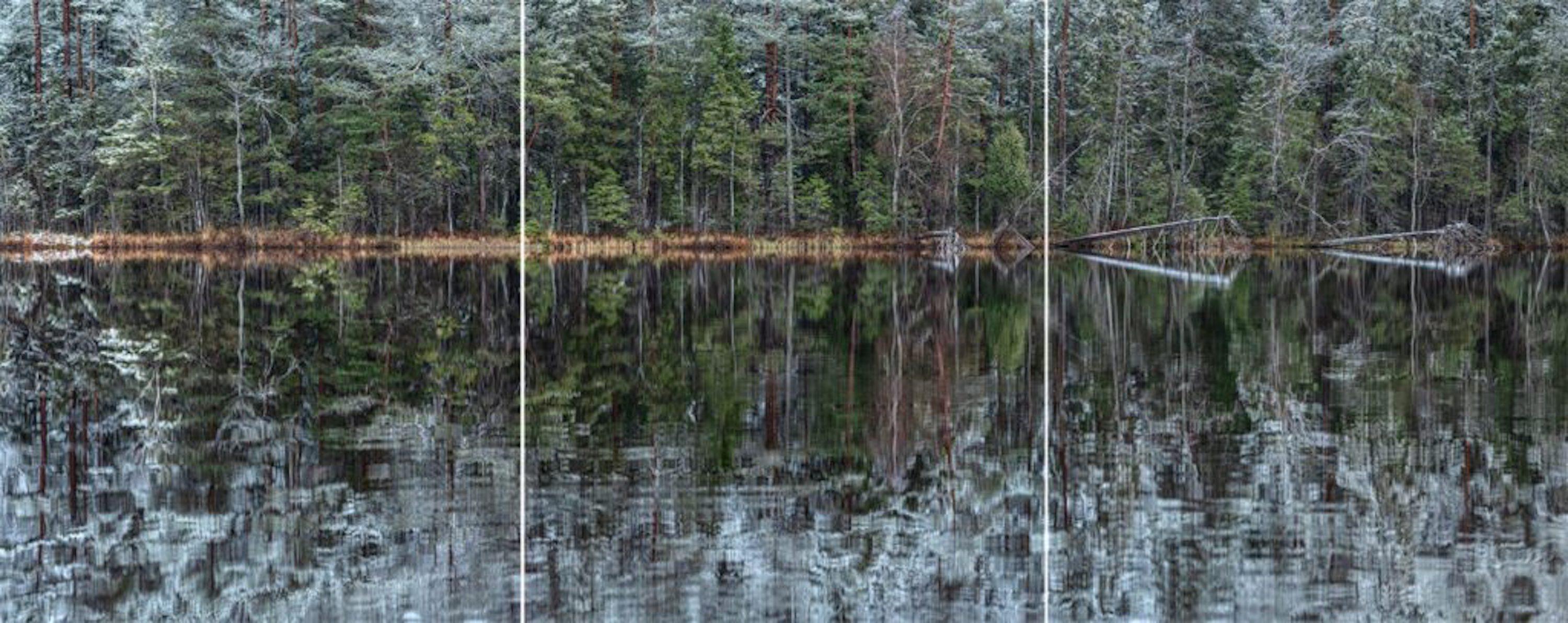 Deep Mirroring Forest 001 by Bernhard Lang - Landscape photography, trees, green For Sale 1