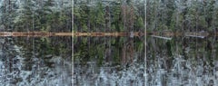 Deep Mirroring Forest 001 de Bernhard Lang - Fotografía de paisaje, árboles, verde