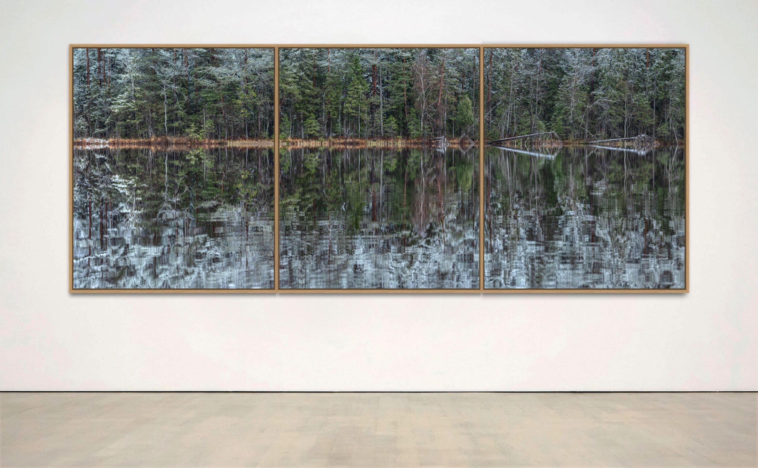 Deep Mirroring Forest 001 by Bernhard Lang - Landscape photography, trees, green For Sale 2