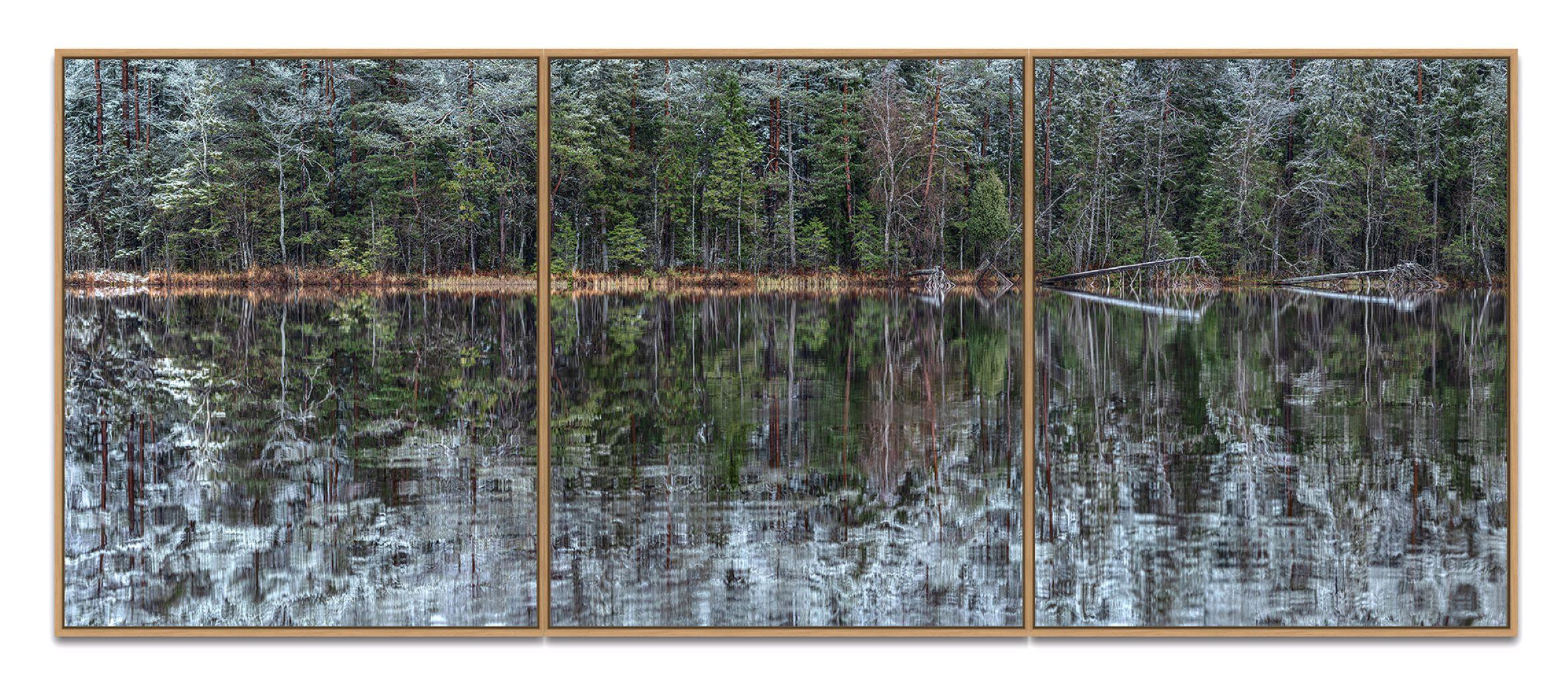 Deep Mirroring Forest 001 by Bernhard Lang - Landscape photography, trees, green For Sale 3