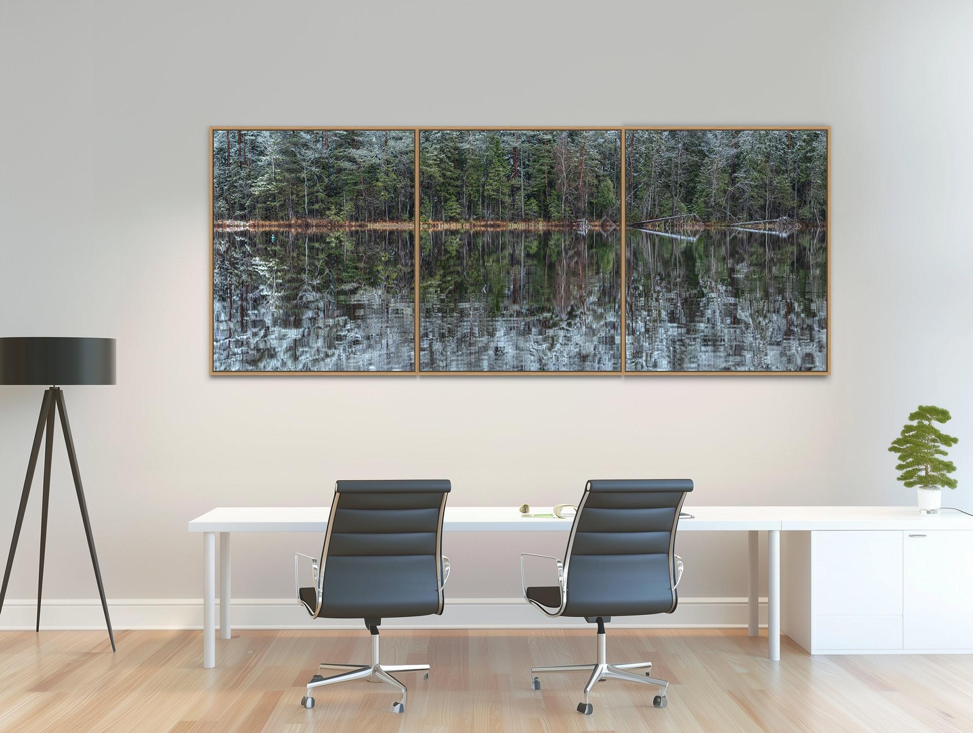 Deep Mirroring Forest 001 de Bernhard Lang - Fotografía de paisaje, árboles, verde en venta 6