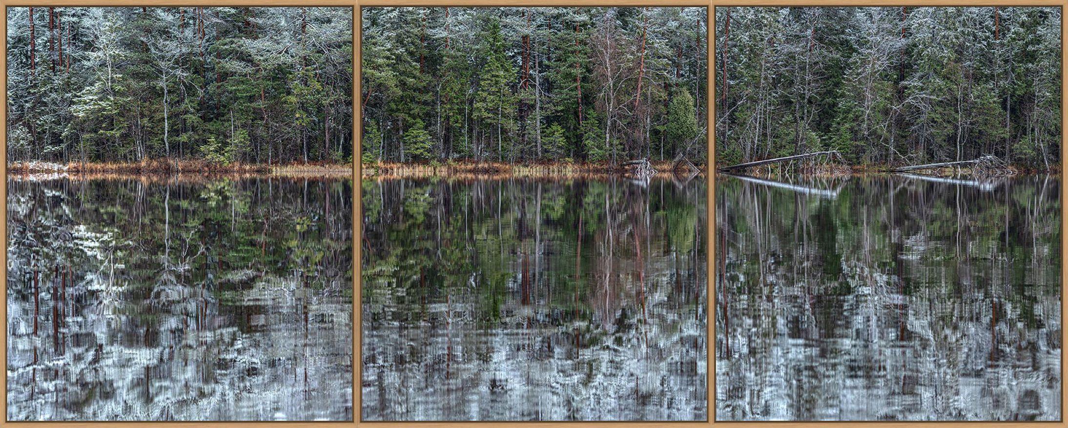 Deep Mirroring Forest 001 is a limited-edition photograph by German contemporary artist Bernhard Lang. 

This photograph is sold unframed as a print only. It is available in 6 dimensions:
*40 × 100 cm (15.7 × 39.4 in), edition of 5 copies
*60 × 150