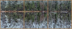 Miroir profond Forest 001 de Bernhard Lang - Photographie de paysage, arbres, vert
