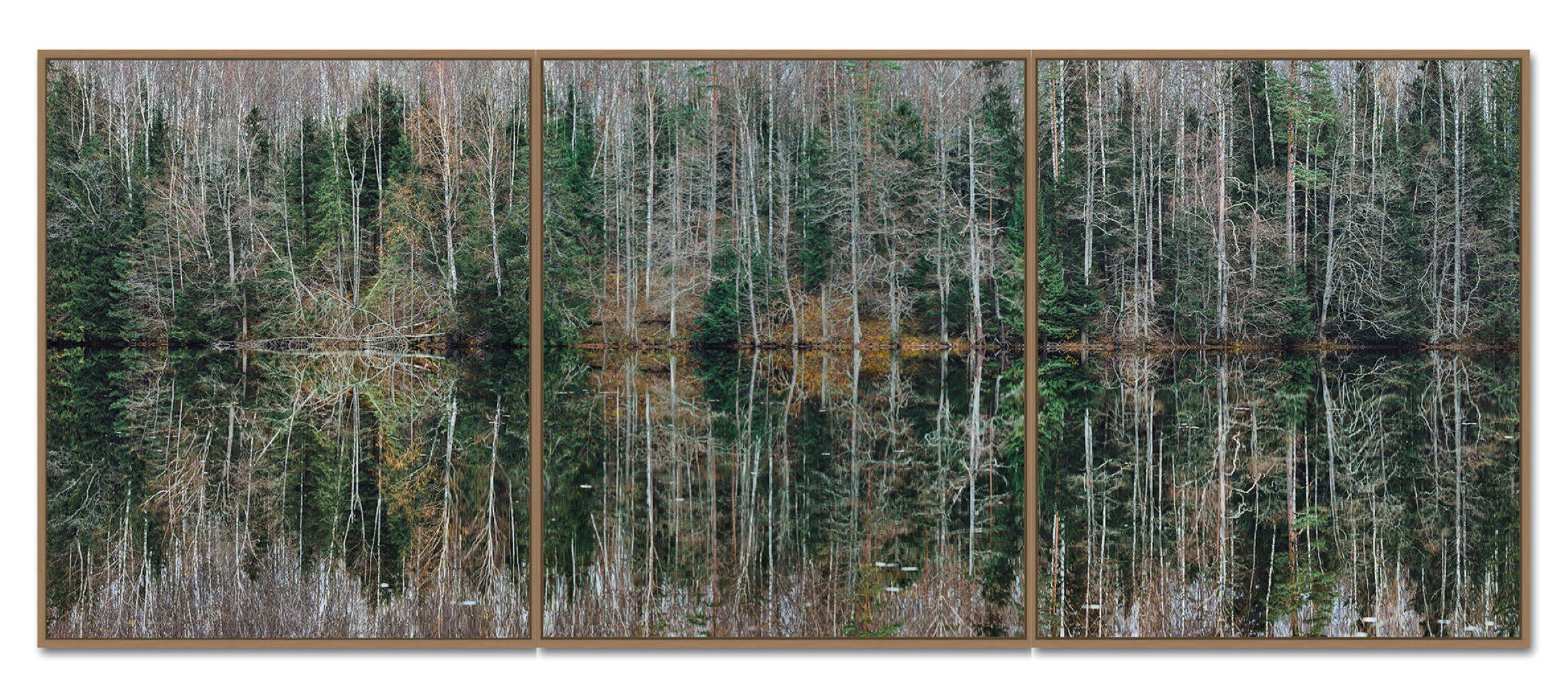 Deep Mirroring Forest 005 by Bernhard Lang - Landscape photography, trees, green For Sale 2