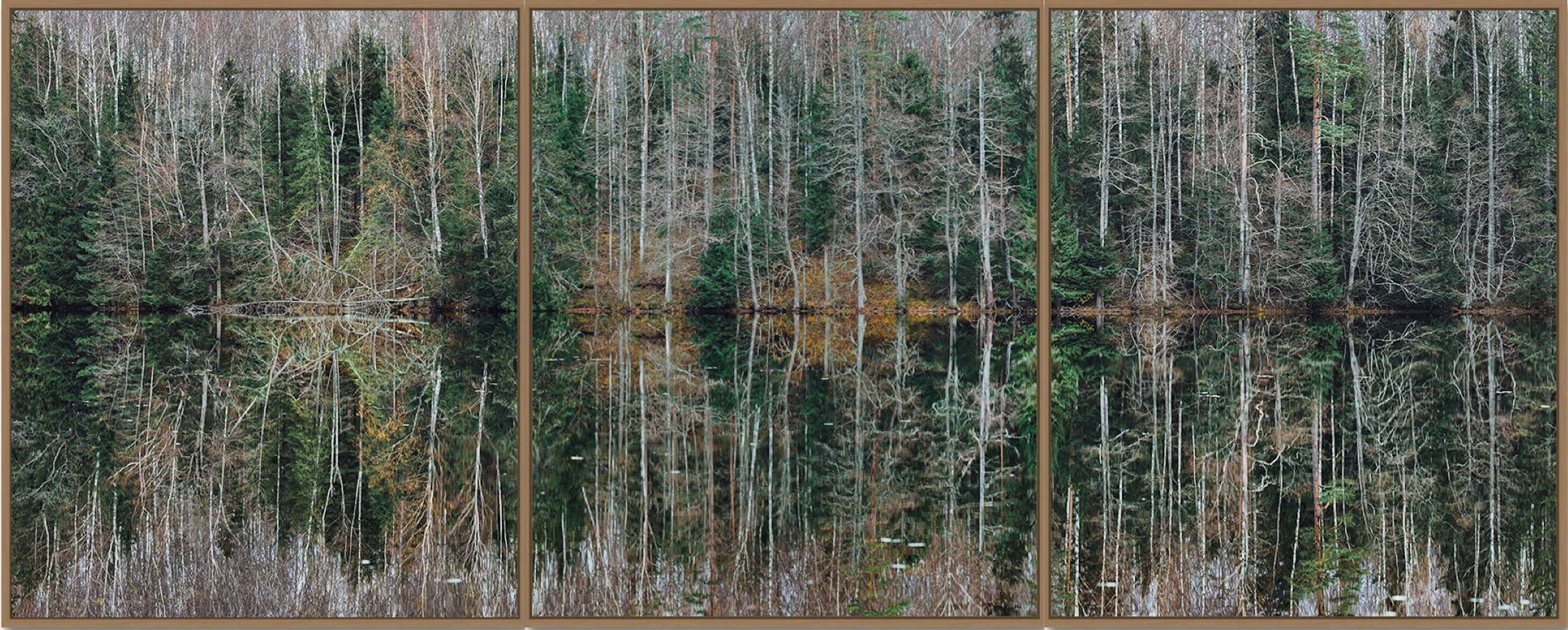 Deep Mirroring Forest 005 is a limited-edition photograph by German contemporary artist Bernhard Lang. 

This photograph is sold unframed as a print only. It is available in 6 dimensions:
*40 × 100 cm (15.7 × 39.4 in), edition of 5 copies
*60 × 150