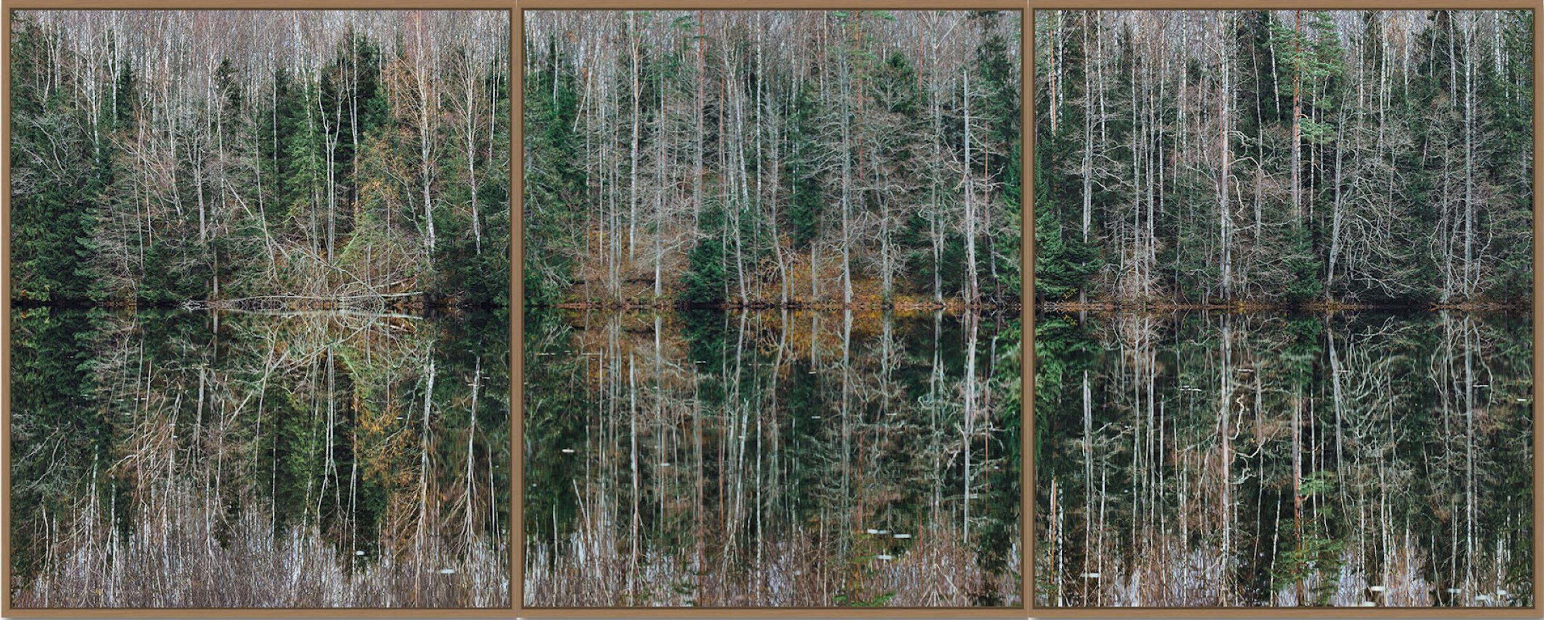 Deep Mirroring Forest 005 ist eine Fotografie des deutschen zeitgenössischen Künstlers Bernhard Lang in limitierter Auflage. 

Dieses Foto wird nur als ungerahmter Abzug verkauft. Es ist in 6 Größen erhältlich:
*40 × 100 cm (15,7 × 39,4 Zoll),