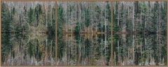Deep Mirroring Forest 005 by Bernhard Lang - Landscape photography, trees, green