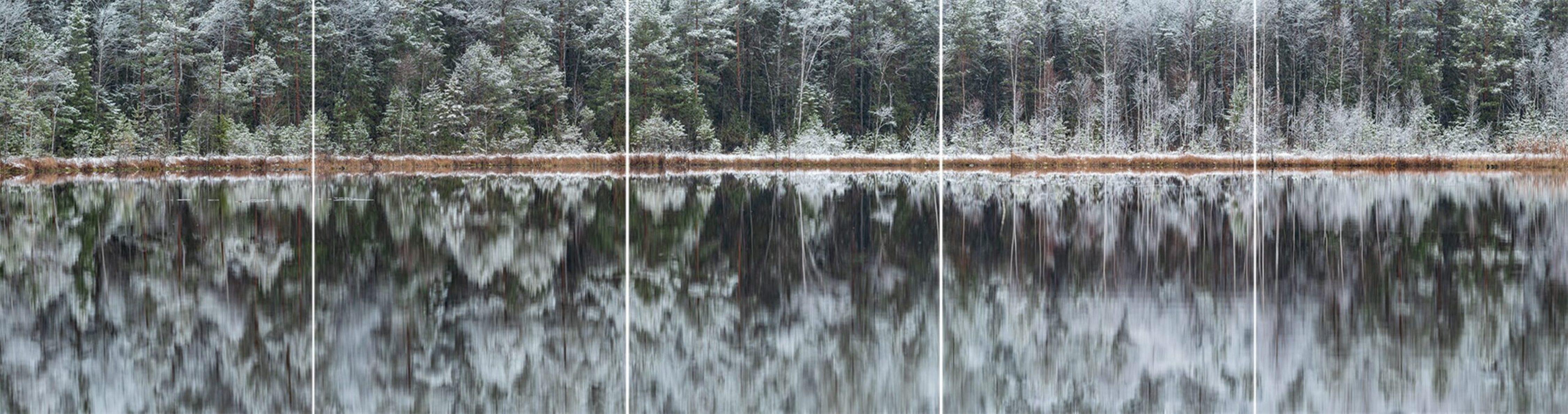 Deep Mirroring Forest 007 by Bernhard Lang - Landscape photography, trees, snowy For Sale 1
