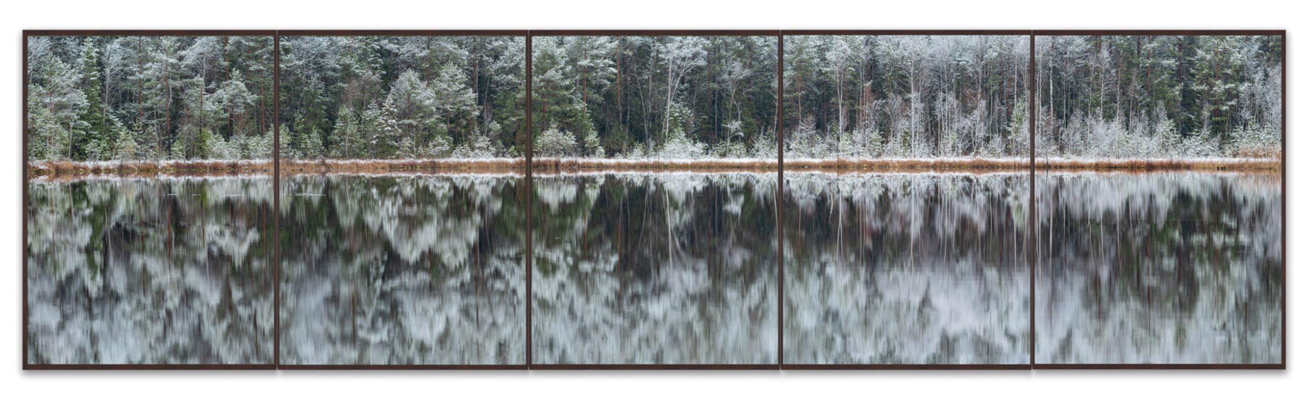 Deep Mirroring Forest 007 by Bernhard Lang - Landscape photography, trees, snowy For Sale 2