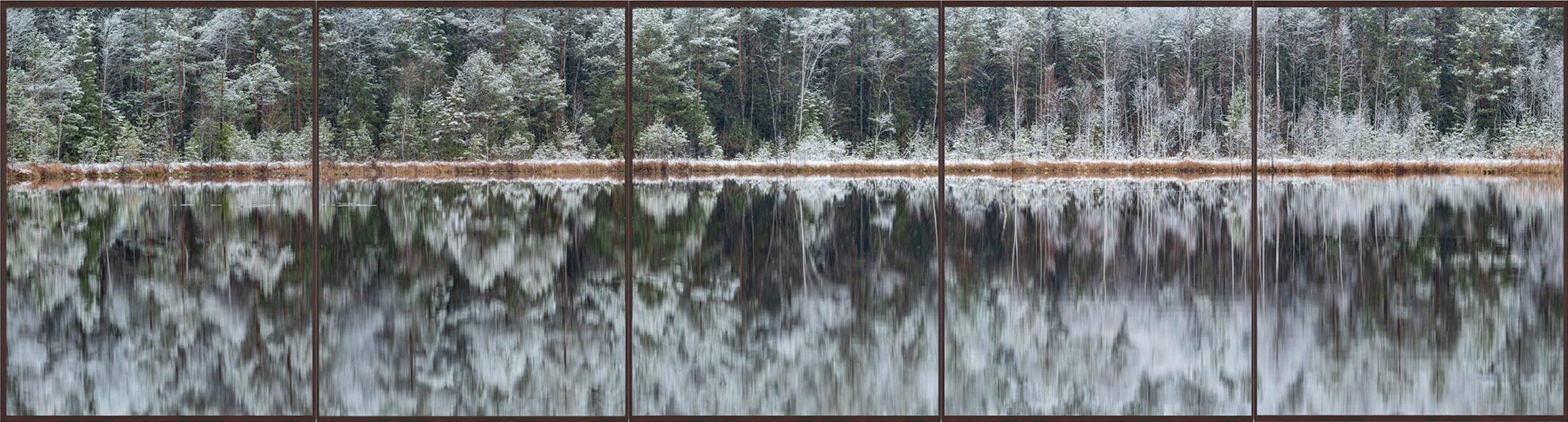 Deep Mirroring Forest 007 is a limited-edition photograph by German contemporary artist Bernhard Lang. 

This photograph is sold unframed as a print only. It is available in 5 dimensions:
*30 × 112 cm (11.8 × 44.1 in), edition of 5 copies
*40 × 150