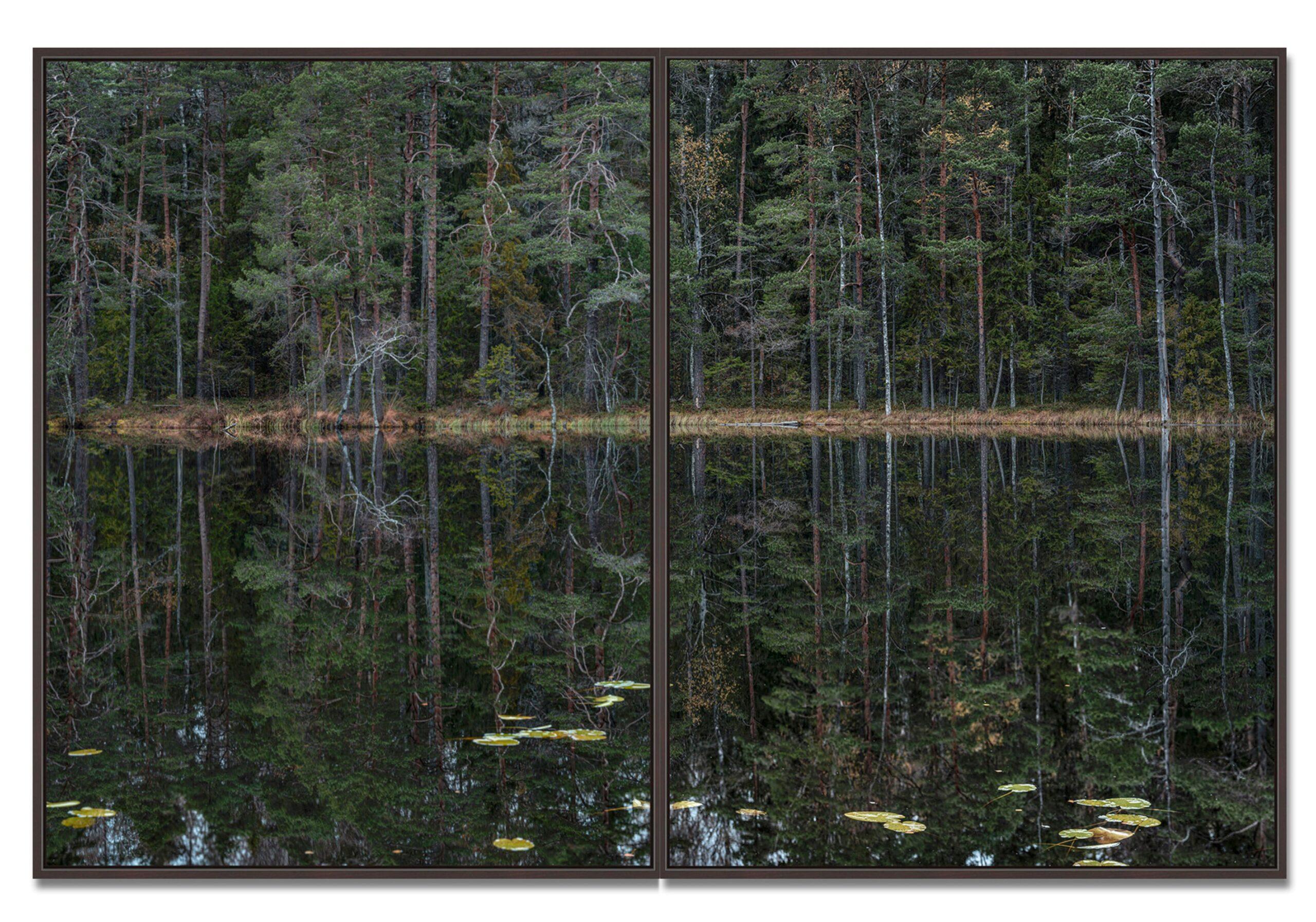 Deep Mirroring Forest 011 by Bernhard Lang - Landscape photography, trees, green For Sale 2