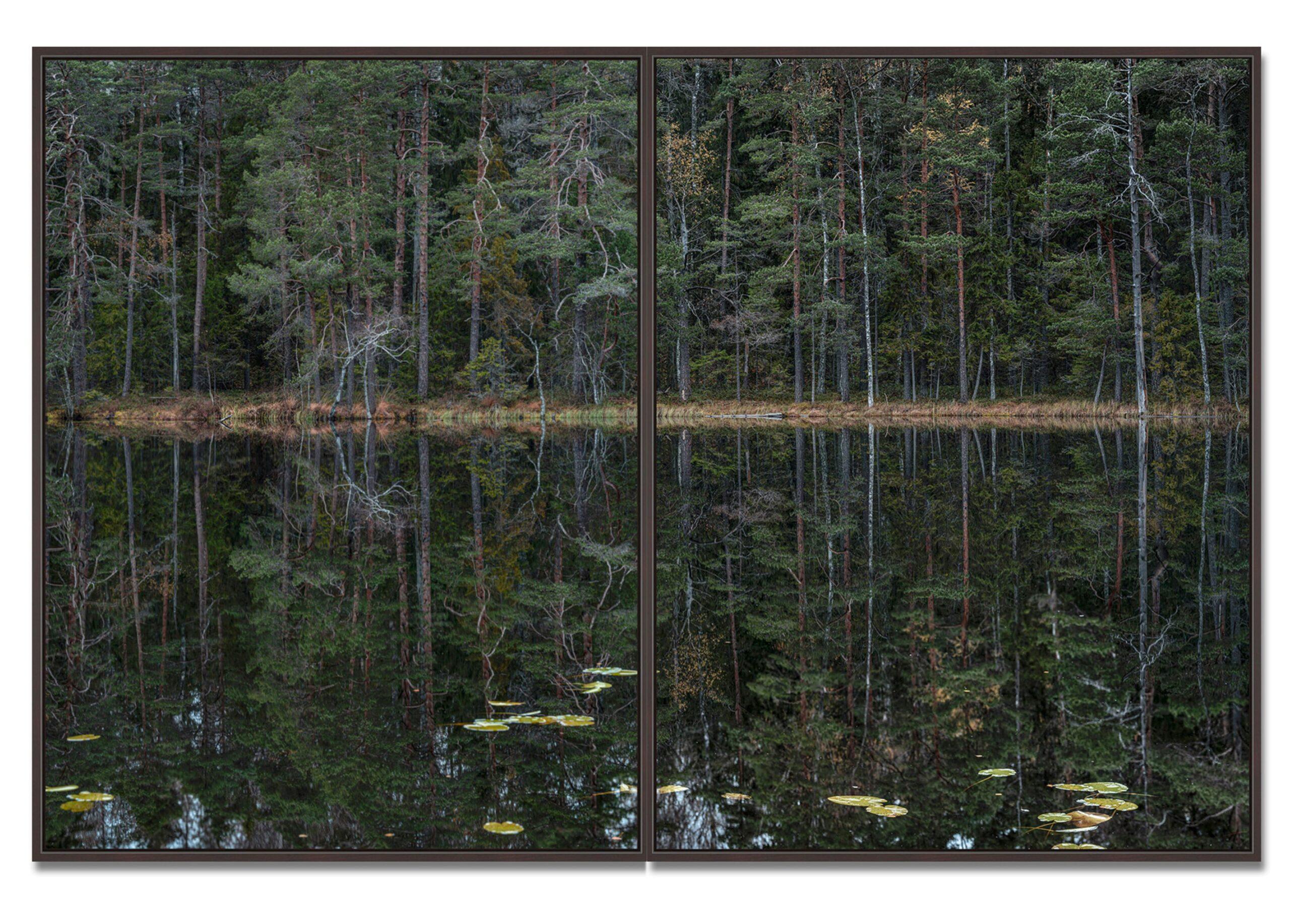 Deep Mirroring Forest 011 de Bernhard Lang - Fotografía de paisaje, árboles, verde en venta 2