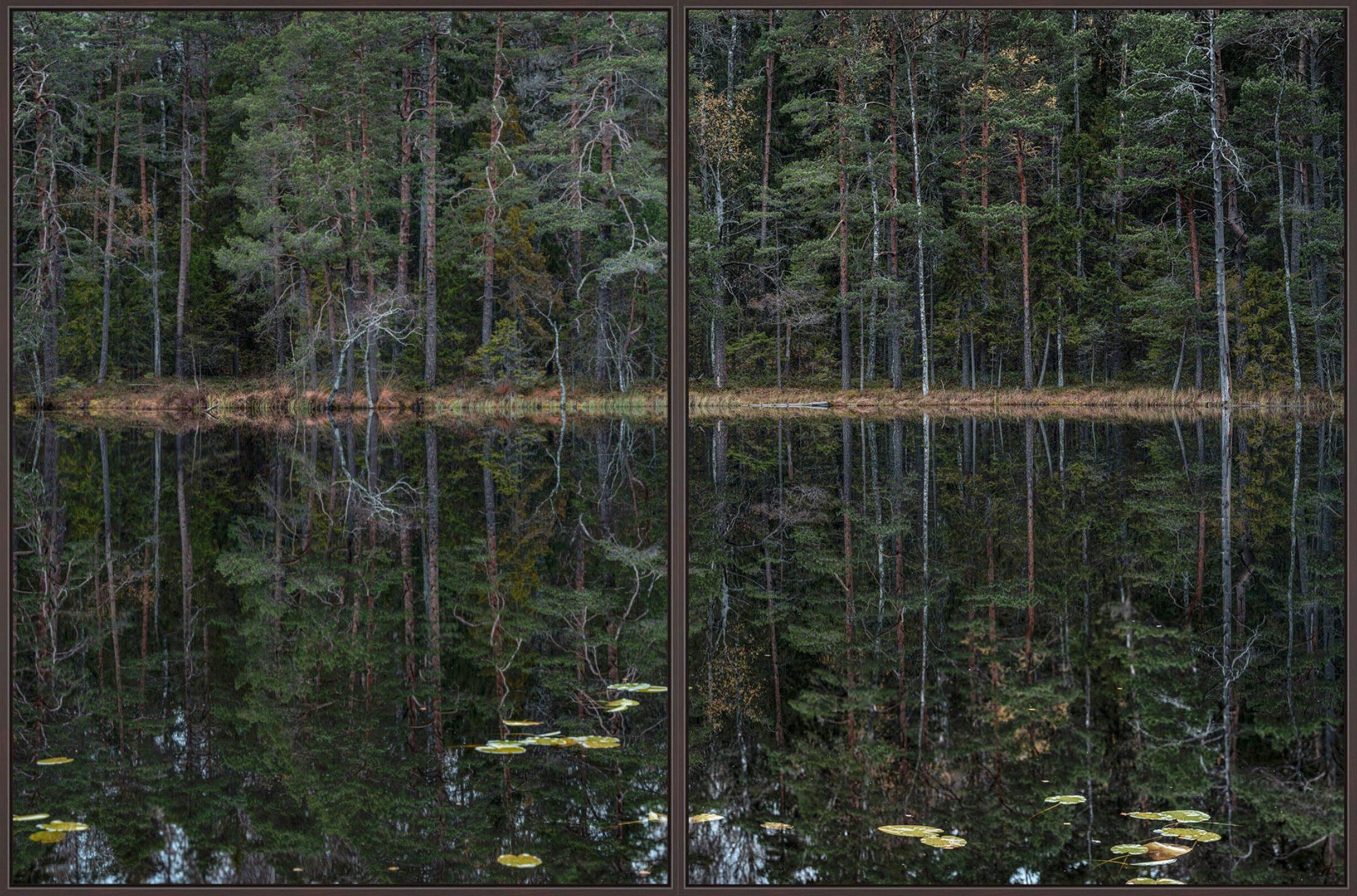 Deep Mirroring Forest 011 is a limited-edition photograph by German contemporary artist Bernhard Lang. 

This photograph is sold unframed as a print only. It is available in 5 dimensions:
*60 × 90 cm (23.6 × 35.4 in), edition of 5 copies
*80 × 120