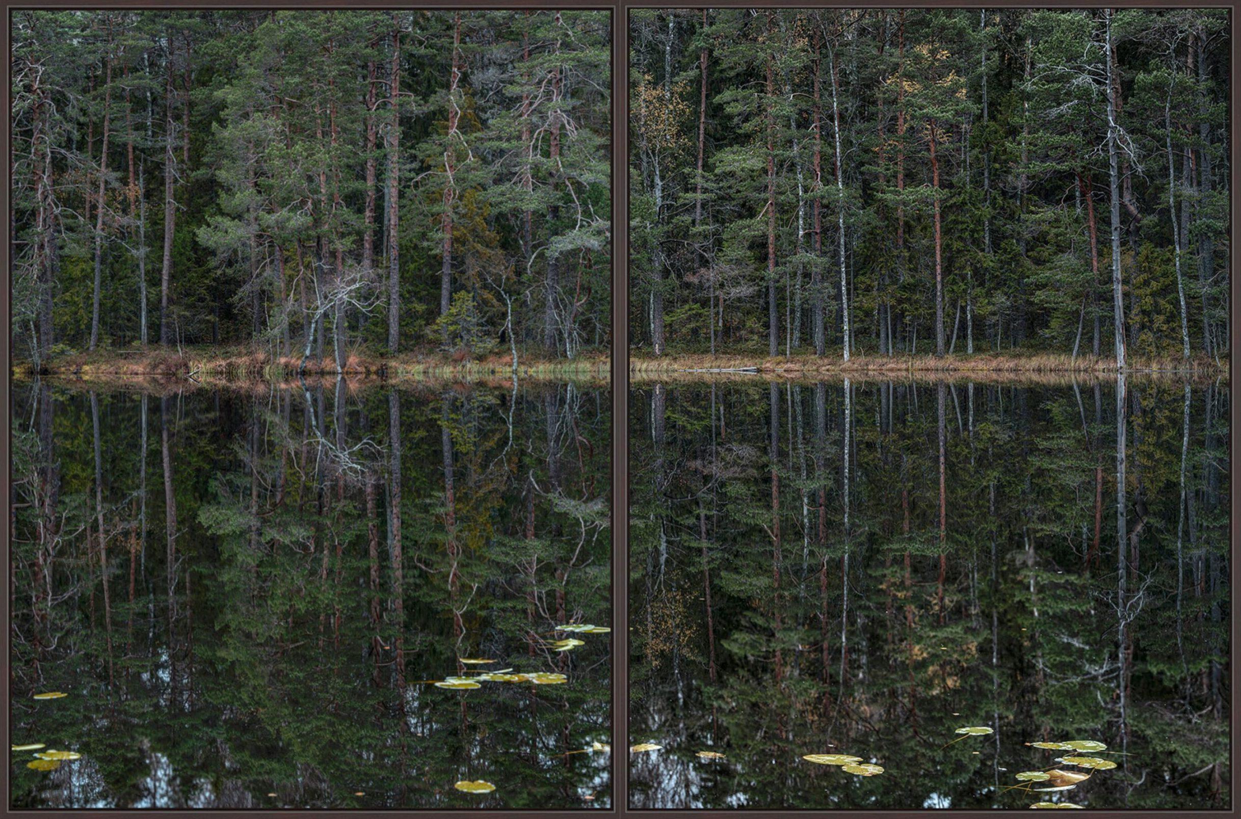 Deep Mirroring Forest 011 es una fotografía de edición limitada del artista contemporáneo alemán Bernhard Lang. 

Esta fotografía se vende sin enmarcar como impresión únicamente. Está disponible en 5 dimensiones:
*60 × 90 cm, edición de 5