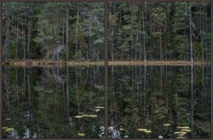 Deep Mirroring Forest 011 by Bernhard Lang - Landscape photography, trees, green