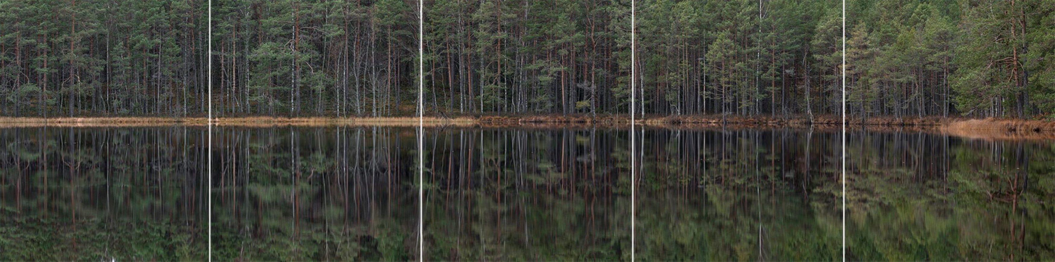 Deep Mirroring Forest 012 by Bernhard Lang - Landscape photography, trees, green For Sale 1
