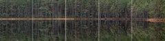 Deep Mirroring Forest 012 de Bernhard Lang - Fotografía de paisaje, árboles, verde