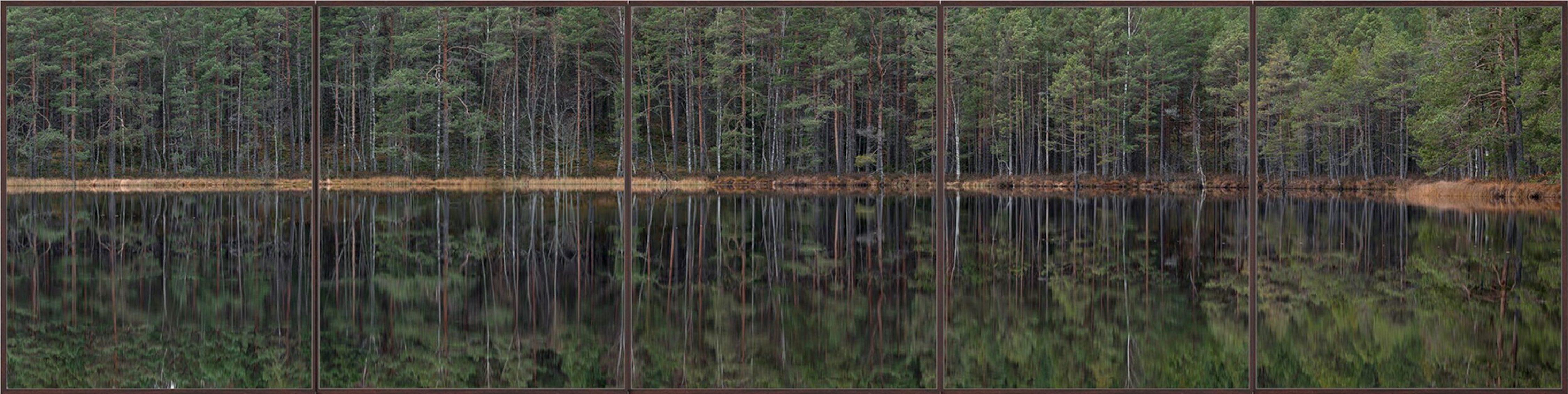 Deep Mirroring Forest 012 is a limited-edition photograph by German contemporary artist Bernhard Lang. 

This photograph is sold unframed as a print only. It is available in 5 dimensions:
*30 × 120 cm (11.8 × 47.2 in), edition of 5 copies
*40 × 160
