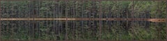 Miroir profond Forest 012 de Bernhard Lang - Photographie de paysage, arbres, vert