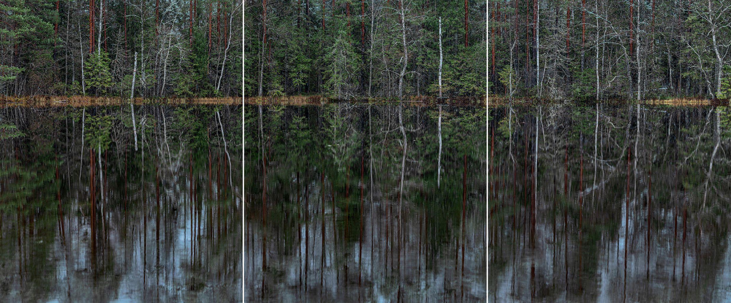 Deep Mirroring Forest 013 by Bernhard Lang - Landscape photography, trees, green For Sale 1
