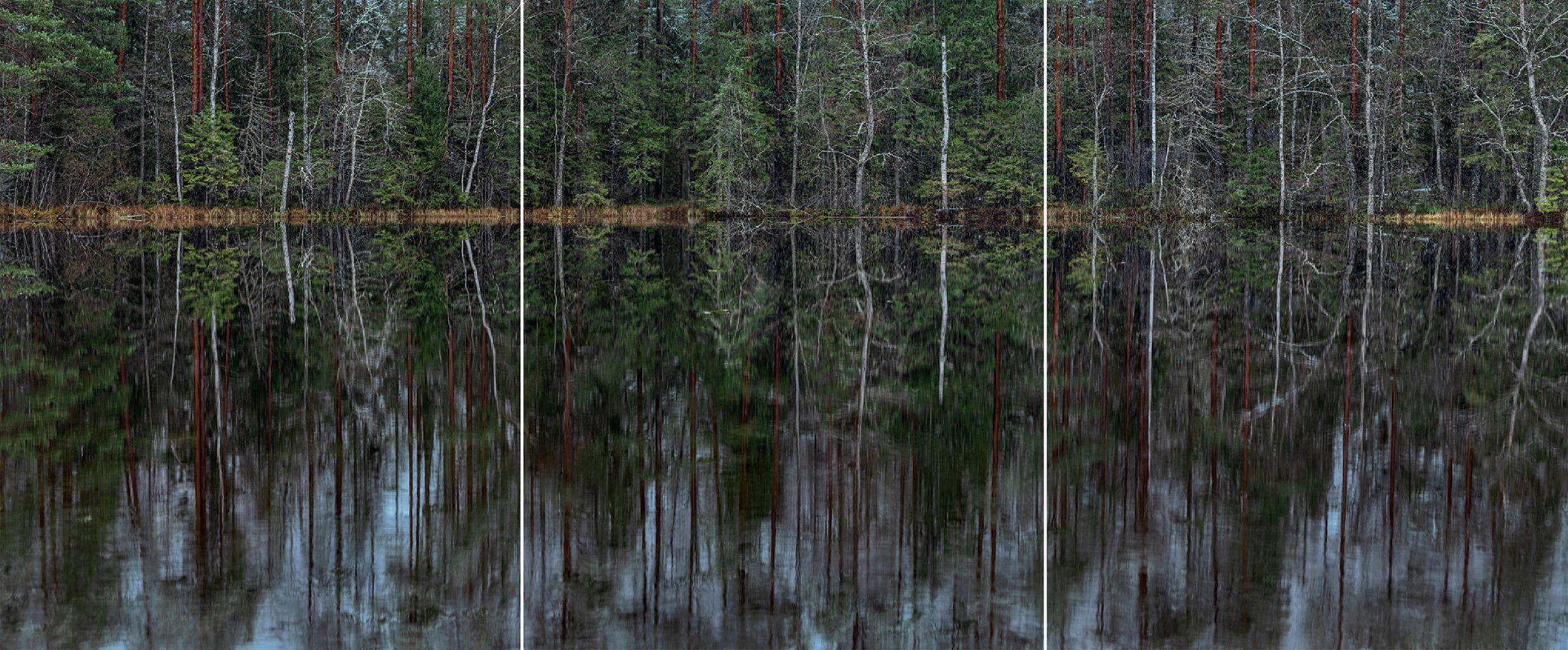 Tief verspiegelter Wald 013 von Bernhard Lang – Landschaftsfotografie, Bäume, Grün im Angebot 1
