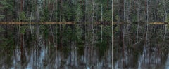 Deep Mirroring Forest 013 by Bernhard Lang - Landscape photography, trees, green