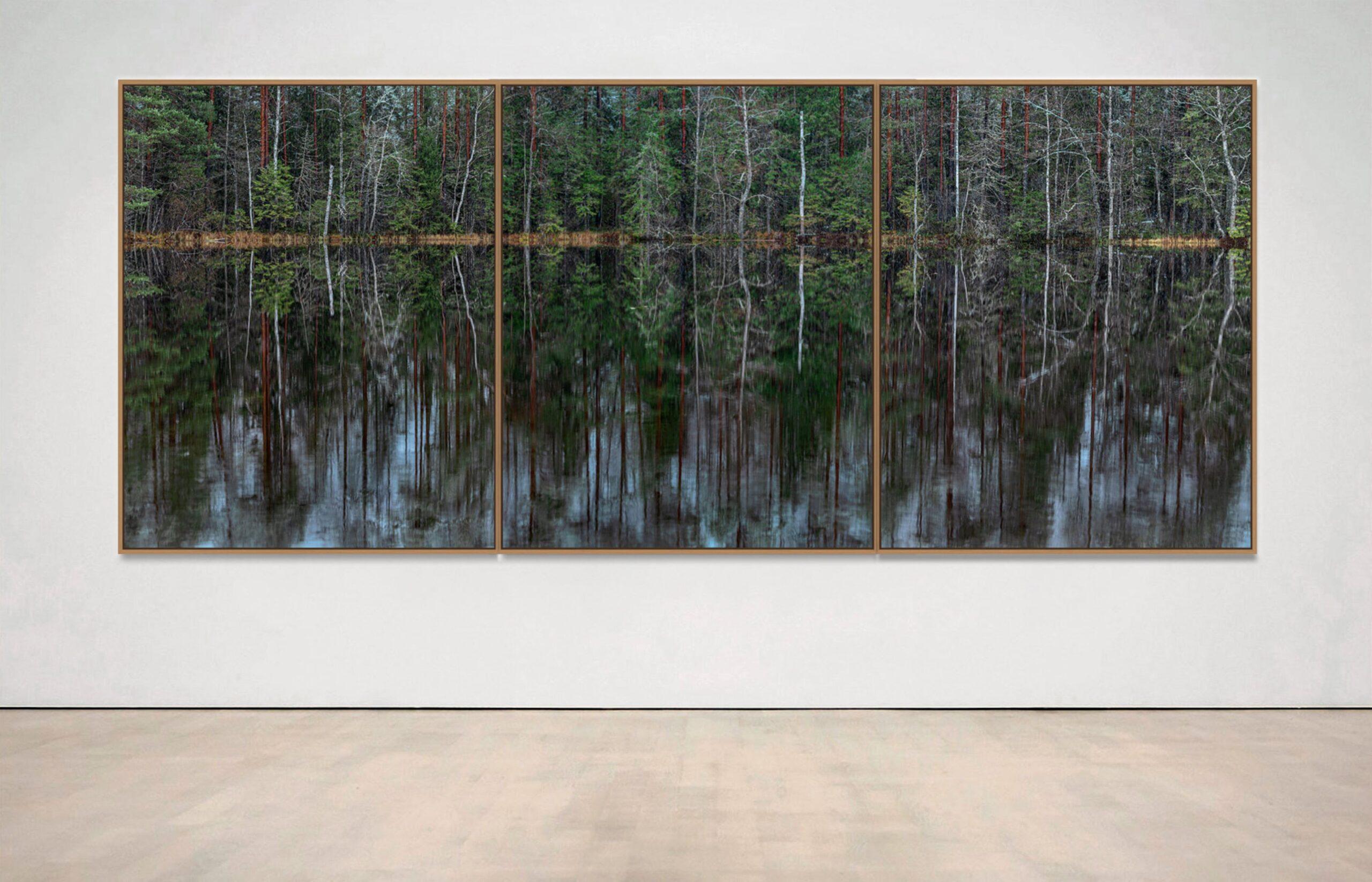 Deep Mirroring Forest 013 by Bernhard Lang - Landscape photography, trees, green For Sale 3