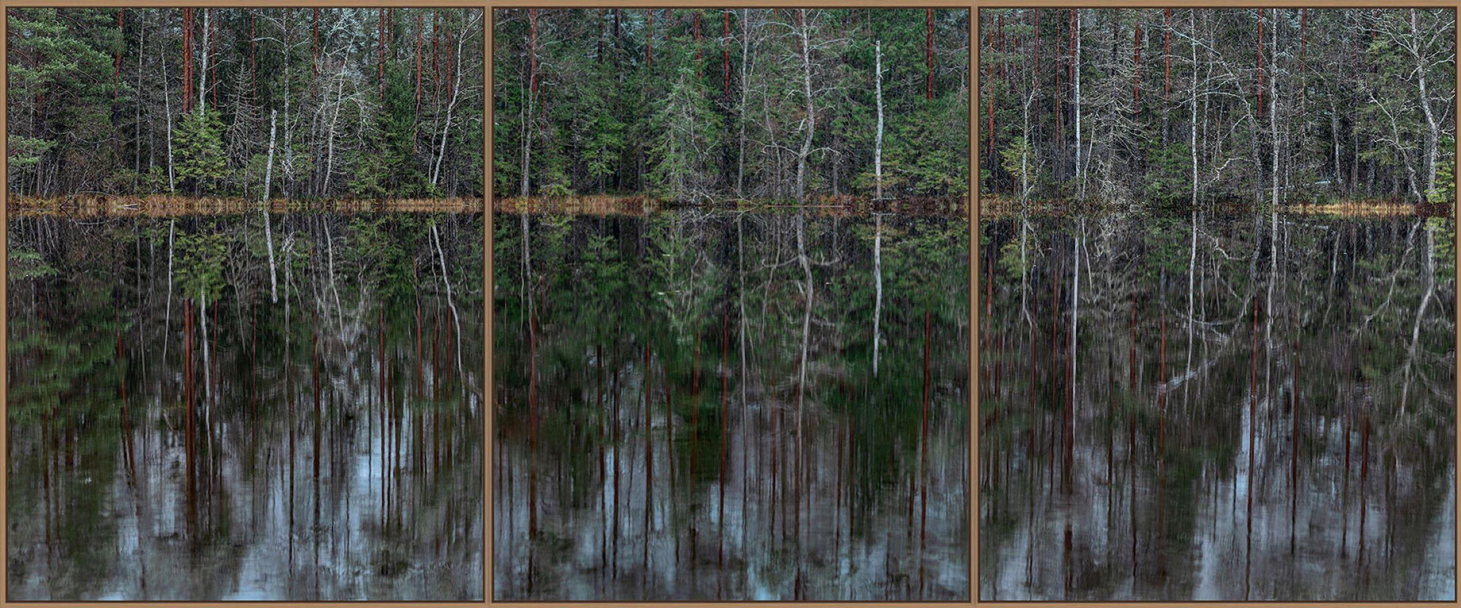 Deep Mirroring Forest 013 is a limited-edition photograph by German contemporary artist Bernhard Lang. 

This photograph is sold unframed as a print only. It is available in 5 dimensions:
*40 × 96 cm (15.7 × 37.8 in), edition of 5 copies
*60 × 144