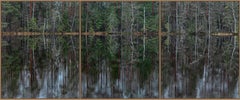 Miroir profond Forest 013 de Bernhard Lang - Photographie de paysage, arbres, vert