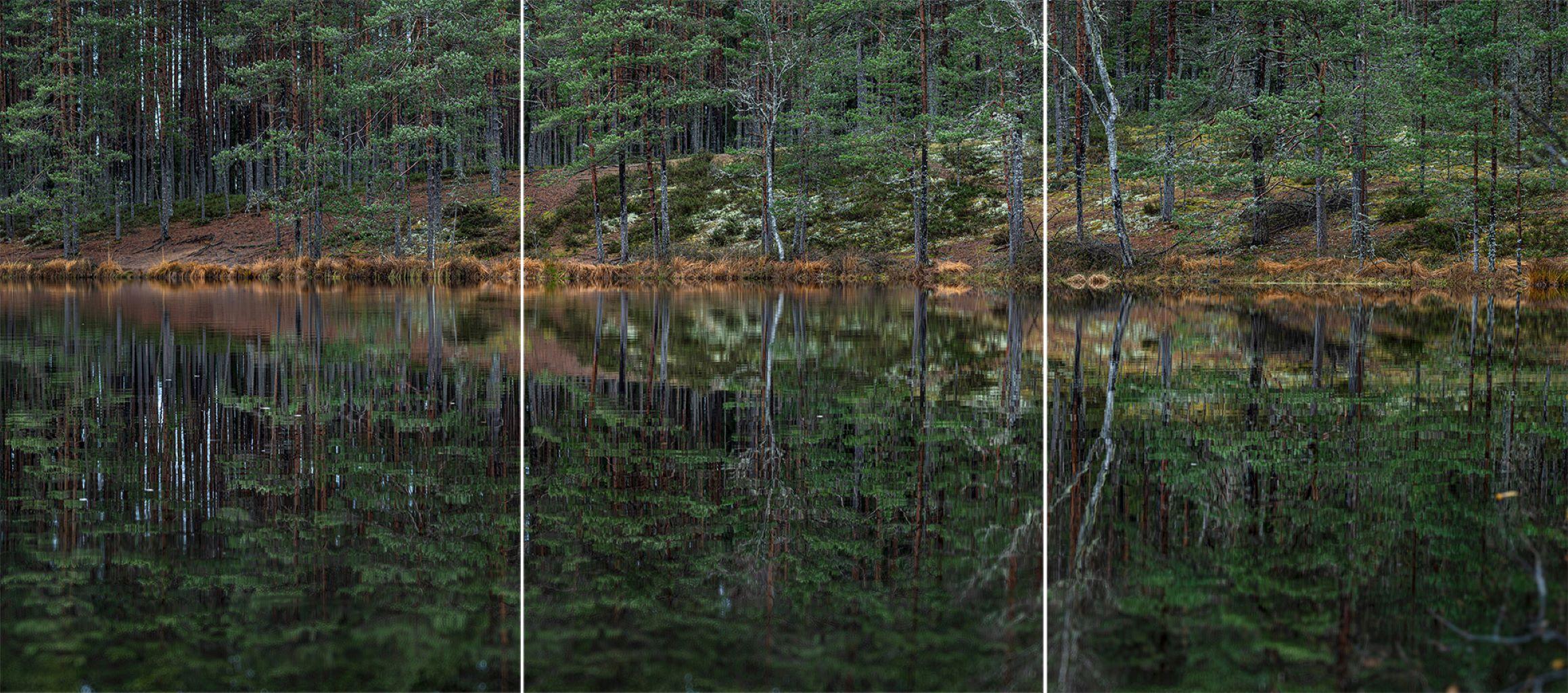 Deep Mirroring Forest 015 by Bernhard Lang - Landscape photography, framed, tree For Sale 1