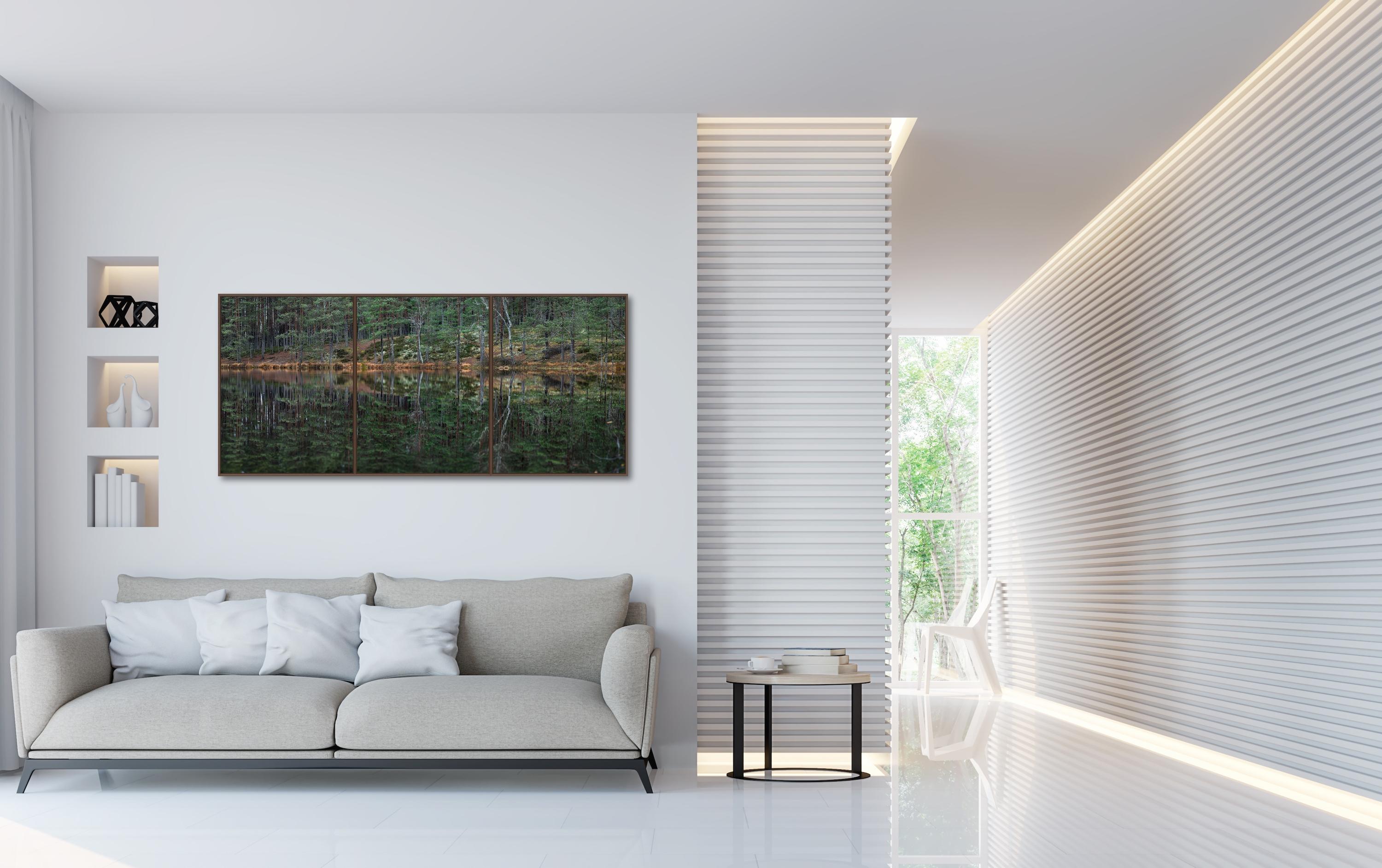 Deep Mirroring Forest 015 by Bernhard Lang - Landscape photography, framed, tree For Sale 2