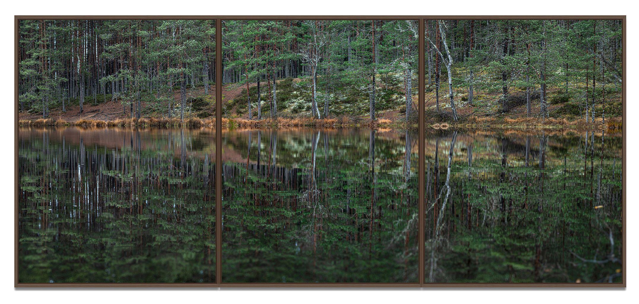 Deep Mirroring Forest 015 by Bernhard Lang - Landscape photography, framed, tree For Sale 3