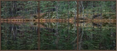 Deep Mirroring Forest 015 by Bernhard Lang - Landscape photography, framed, tree
