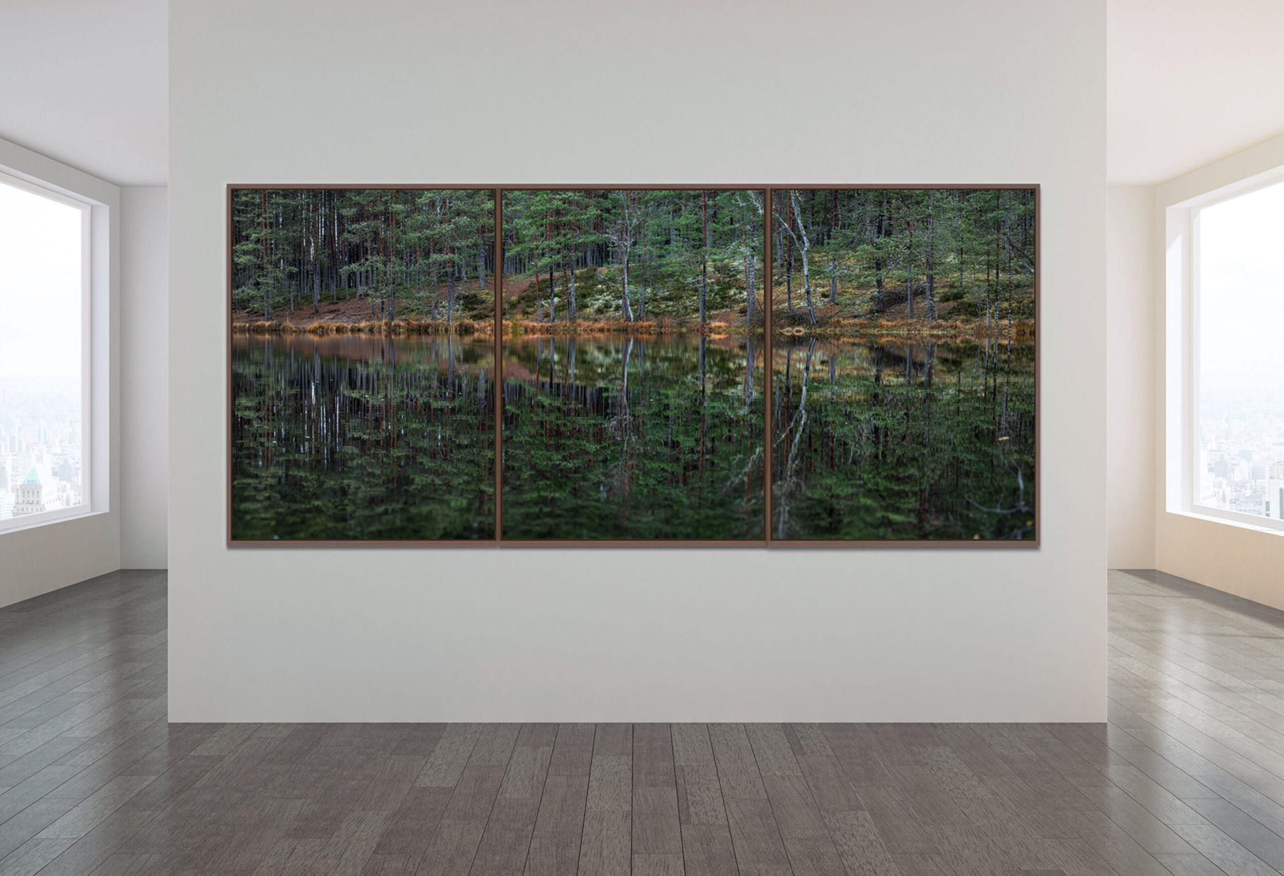 Deep Mirroring Forest 015 by Bernhard Lang - Landscape photography, trees, green For Sale 2