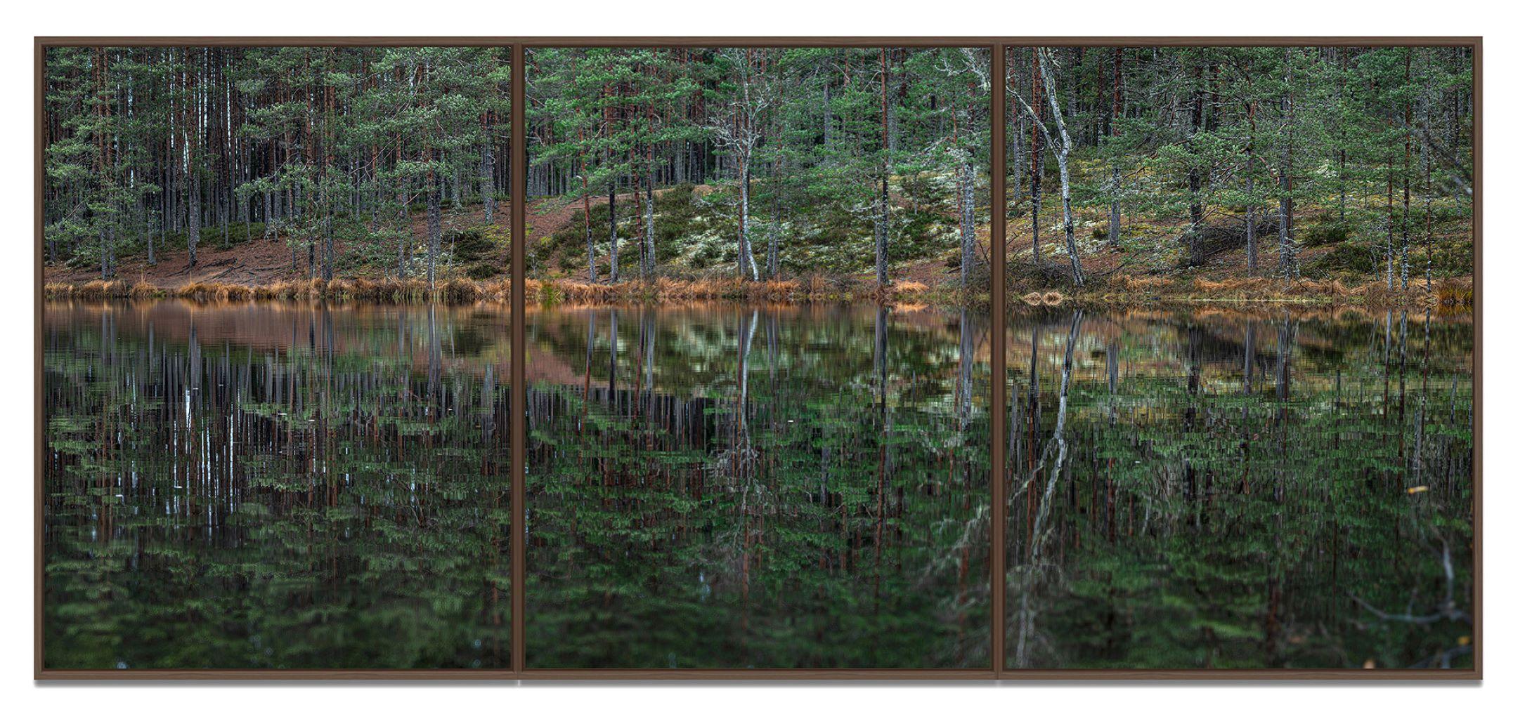 Tief verspiegelter Wald 015 von Bernhard Lang – Landschaftsfotografie, Bäume, Grün im Angebot 3
