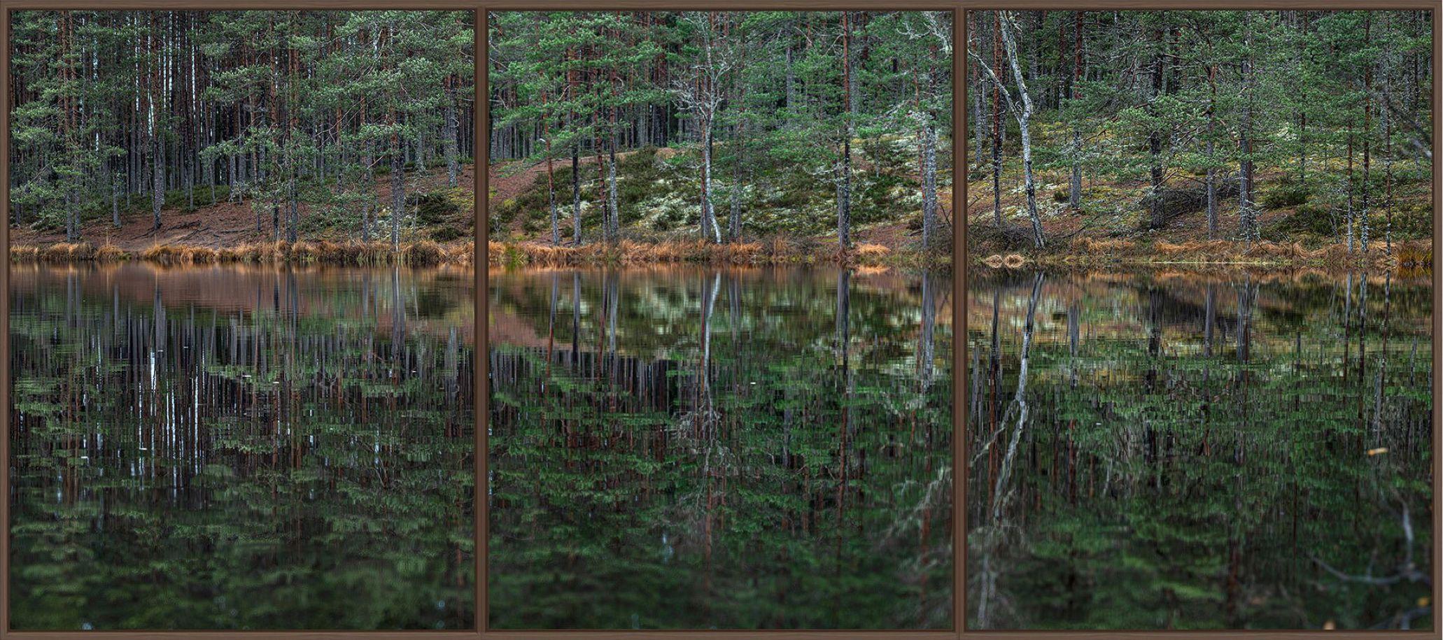 Deep Mirroring Forest 015 is a limited-edition photograph by German contemporary artist Bernhard Lang. 

This photograph is sold unframed as a print only. It is available in 5 dimensions:
*40 × 90 cm (15.7 × 35.4 in), edition of 5 copies
*60 × 135