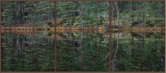 Miroir profond Forest 015 de Bernhard Lang - Photographie de paysage, arbres, vert