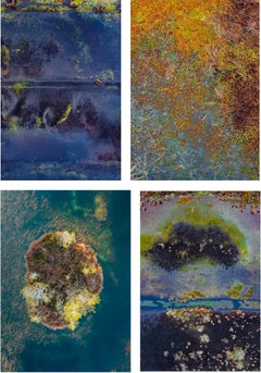 Set of 4 photographs from 'The Bog' series by Bernhard Lang