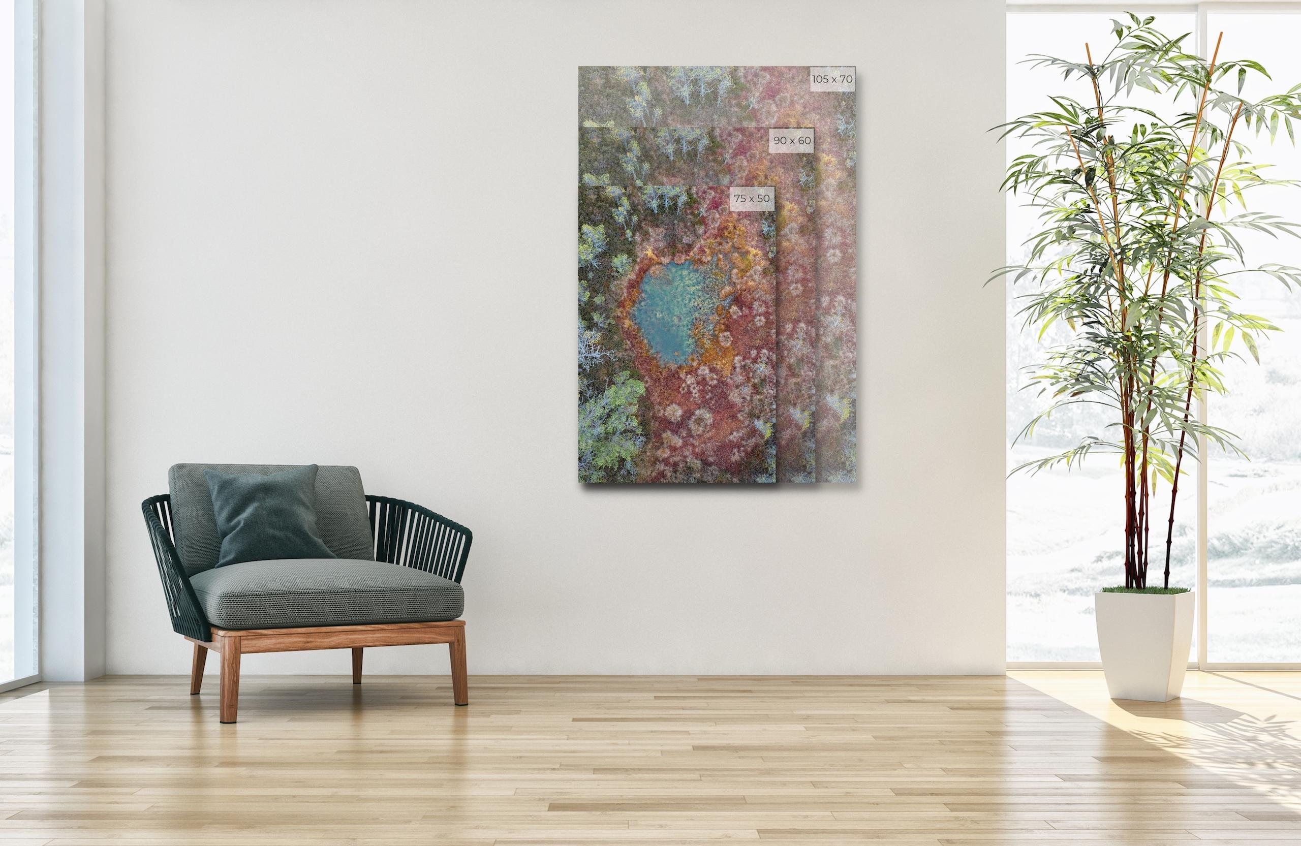 The Bog 003 von Bernhard Lang – Nahaufnahmen, Flora, Grüntöne, Sümpfe im Angebot 1