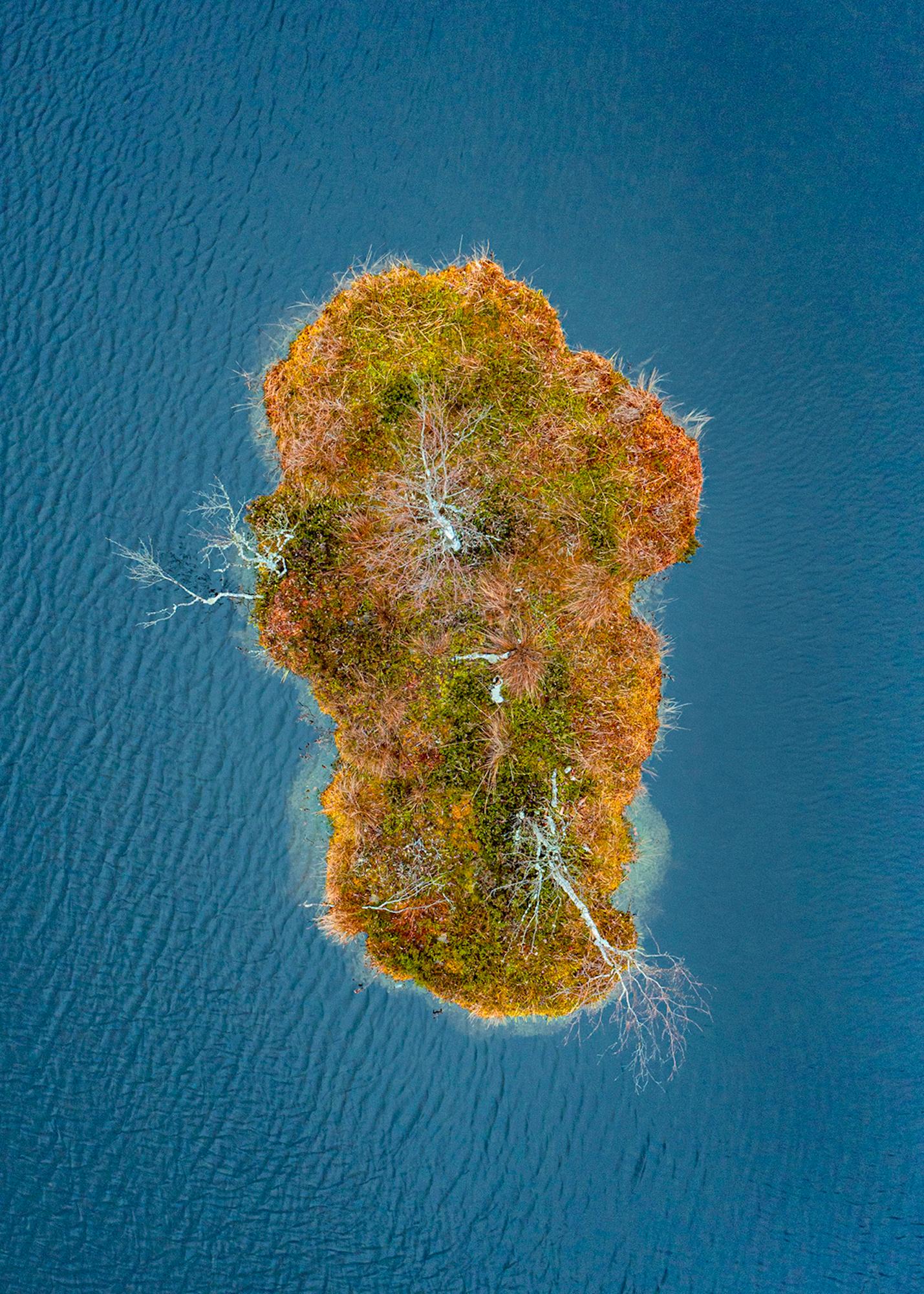 The Bog Islands 006 is a limited-edition photograph by German contemporary artist Bernhard Lang. 
Available print sizes:
- 19.7 x 14.7 inches (50 × 37.5 cm): edition of 8
- 27.5 x 19.7 inches (70 × 50 cm): edition of 8
- 35.4 x 25.2 inches (90 ×