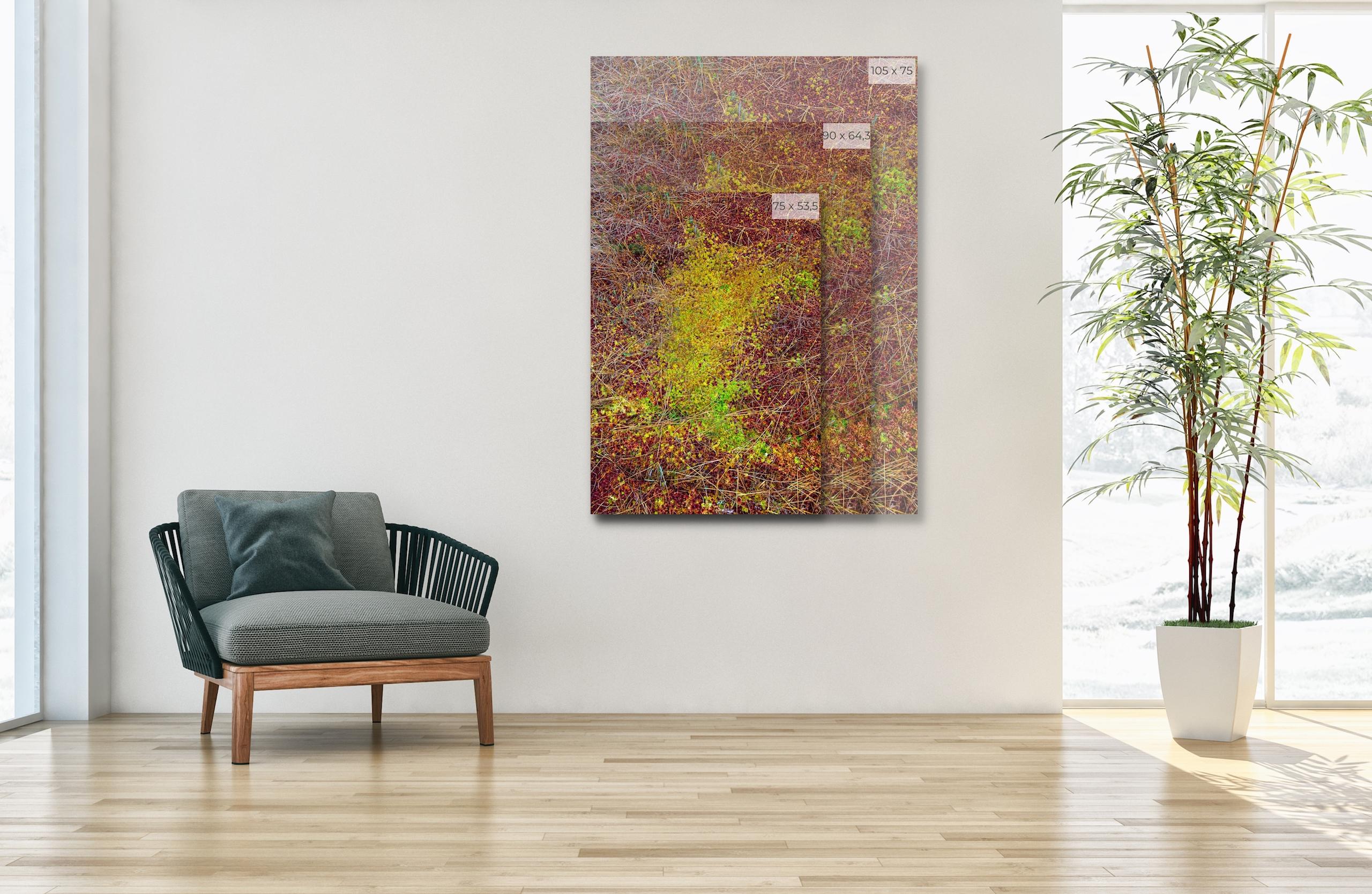 The Bog Plants 003 by Bernhard Lang - Close-up Fotografie, Vivid Töne, Flora im Angebot 1