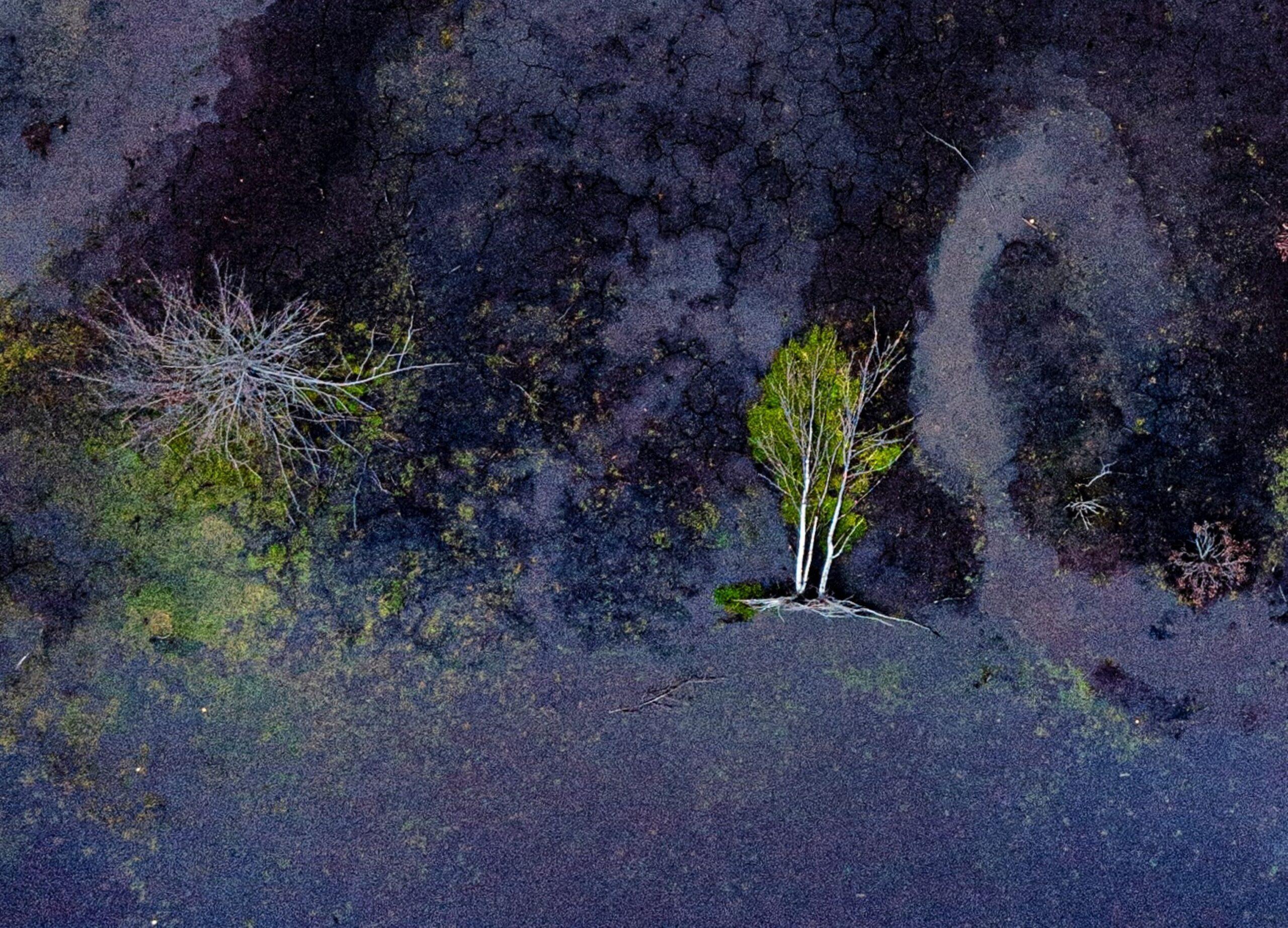 The Bog Renaturated 011 von Bernhard Lang – Luftaufnahmefotografie, blaue Farbe im Angebot 1