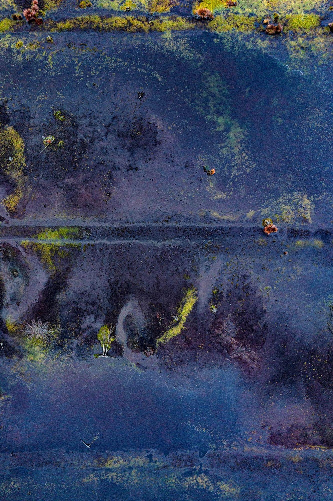 La Ciénaga Renaturalizada 011 de Bernhard Lang - Fotografía aérea, color azul